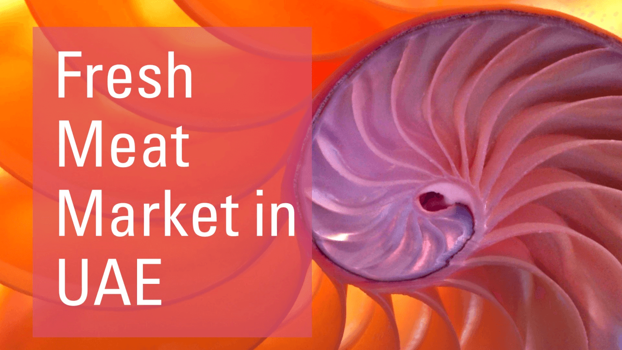Exploring the UAE Halal Meat Market – Trends, Challenges, and Export Opportunities with Rasmehr